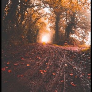 Meet your Posher, Zoe